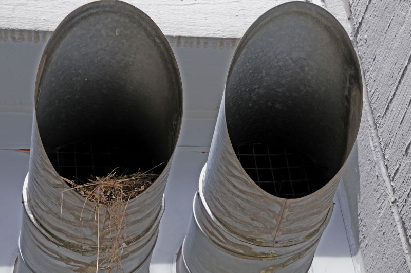 Cost of Bird Removal — Cost of Bird Removal