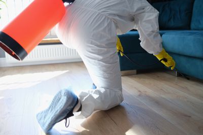 Pest Fumigation Service in Clarksville, TN