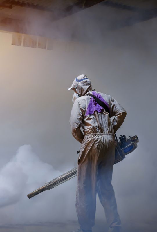 Spider Fumigation Service in Katy, TX