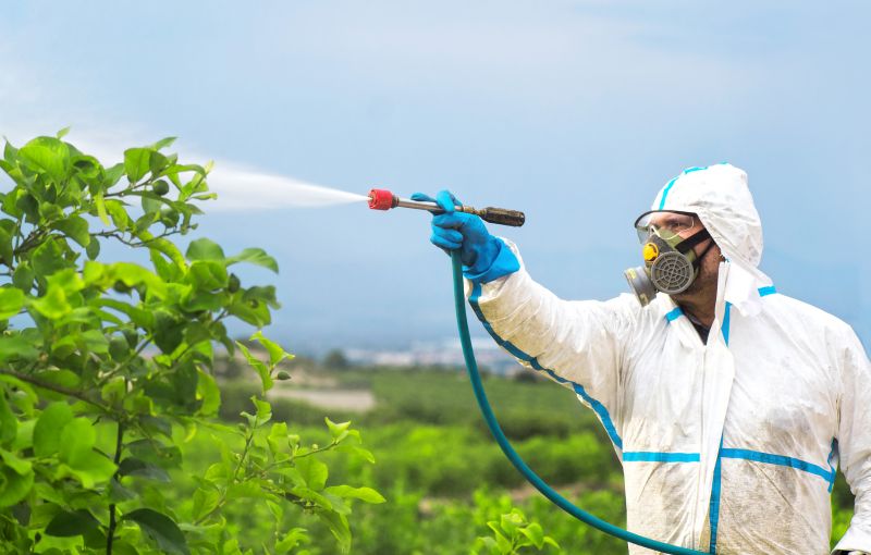 Spider Fumigation Service in San Antonio, TX